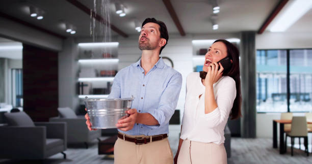 Best 24-hour water damage restoration  in Seagoville, TX